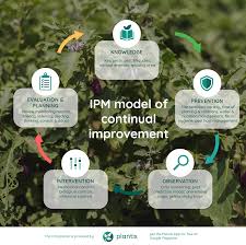 Integrated Pest Management