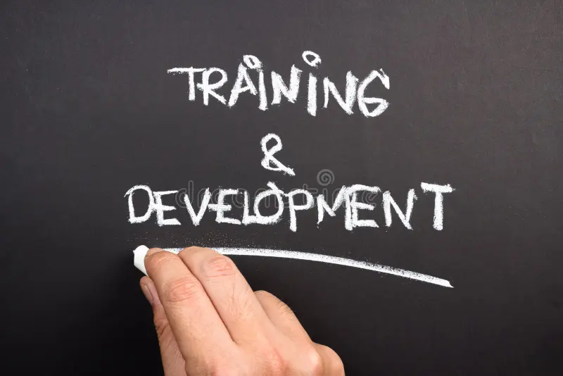 Training and Development